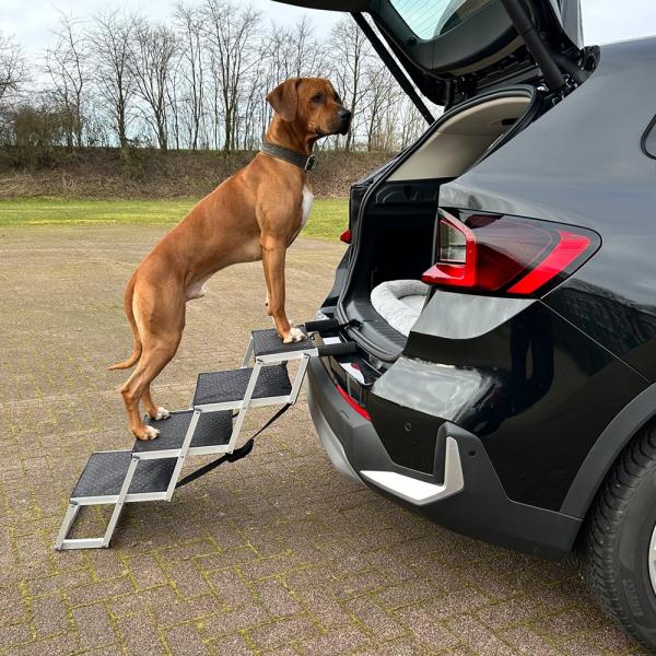 Aluminium Falt-Treppe, Hundetreppe von Nobby  - Hunderampe - Einstiegshilfe für Hunde ins Auto - bis 75 kg
